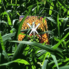 Spielkarten Kameleon (Yellow) Playing Cards