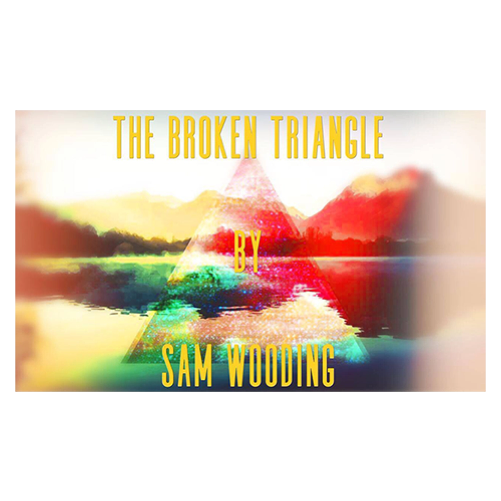 The Broken Triangle by Sam Wooding eBook DOWNLOAD