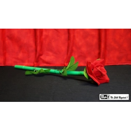 Break Away Rose by Mr. Magic
