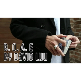 Blink Of An Eye by David Luu video DOWNLOAD