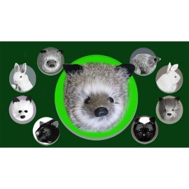 Silver Fox Spring Animal by Magic Masters