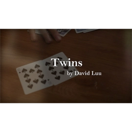 Twins by David Luu video DOWNLOAD