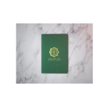 Passport to Marked Decks by Phill Smith and DMC - Book