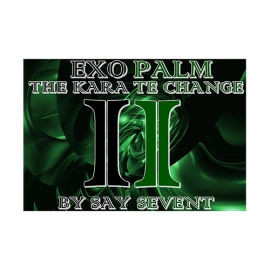 EXOPALM THE KARATE CHANGE by SaysevenT video DOWNLOAD