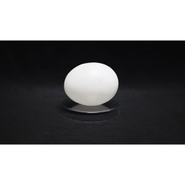 Deluxe Latex (Vinyl) Egg-Tissue to Egg Routine by Viking Magic