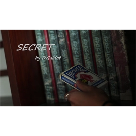 Secret by D.Galdot video DOWNLOAD