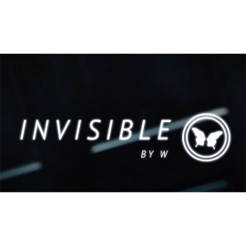 Invisible (DVD and Gimmicks) by W - DVD