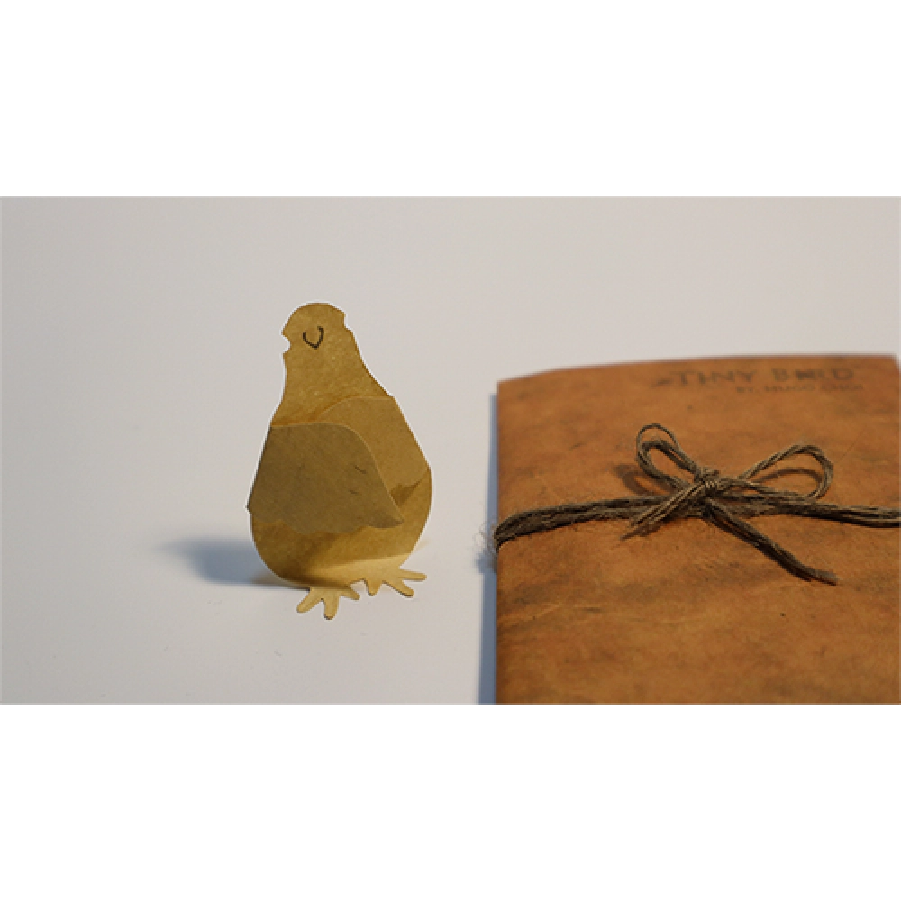 Tiny Bird (Gimmick and Online Instructions) by Hugo Choi