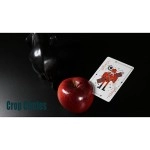 Spielkarten The Circle Crop Playing Cards by X-ZONE