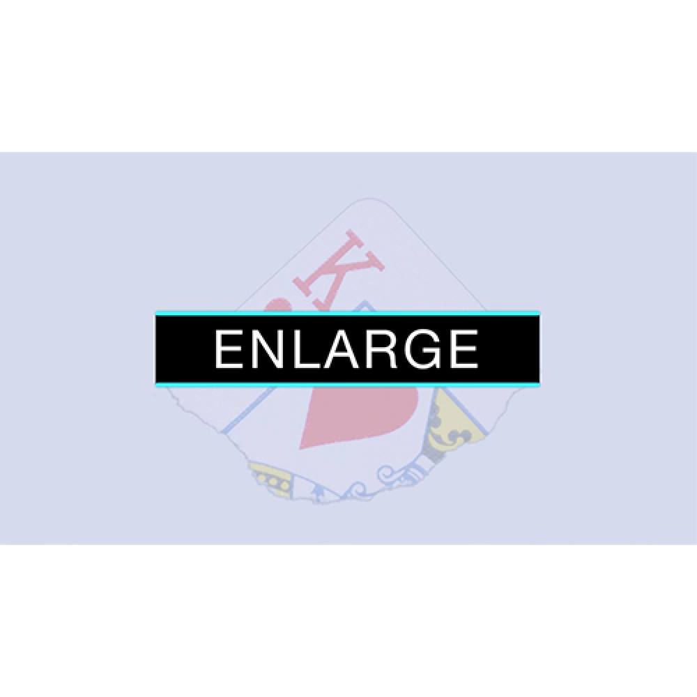 Enlarge (DVD and Gimmicks) by SansMinds - DVD
