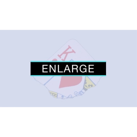 Enlarge (DVD and Gimmicks) by SansMinds - DVD