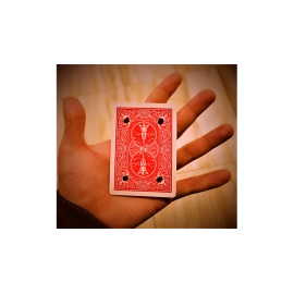 Hallucination by Sultan Orazaly video DOWNLOAD