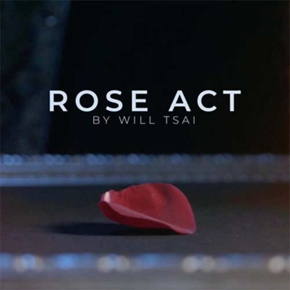 Visual Matrix AKA Rose Act Valorous Silver (Gimmick and Online Instructions) by Will Tsai and SansMinds