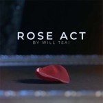 Visual Matrix AKA Rose Act Valorous Silver (Gimmick and Online Instructions) by Will Tsai and SansMinds