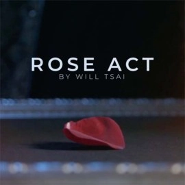 Visual Matrix AKA Rose Act Valorous Silver (Gimmick and Online Instructions) by Will Tsai and SansMinds