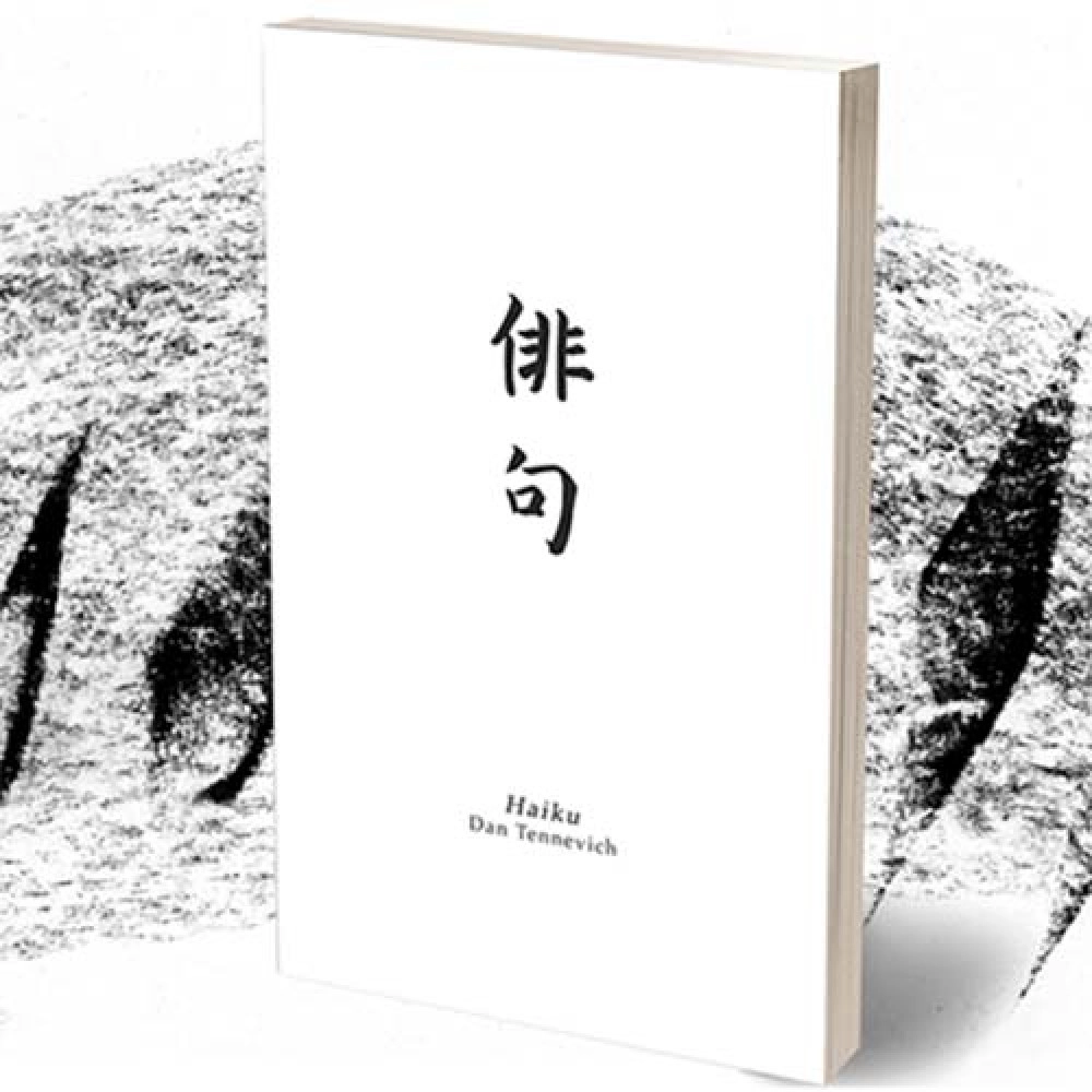 Haiku Book Test 2.0 by Vincent Hedan