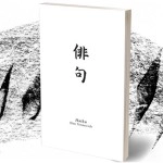 Haiku Book Test 2.0 by Vincent Hedan