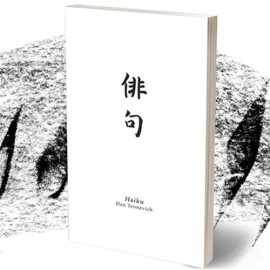 Haiku Book Test 2.0 by Vincent Hedan