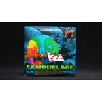 Camouflage (Gimmicks and Online Instructions) by Keith Porter