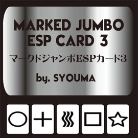 Marked Jumbo ESP Cards (Black) by Tejinaya Magic