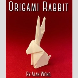 Origami Rabbit by Alan Wong