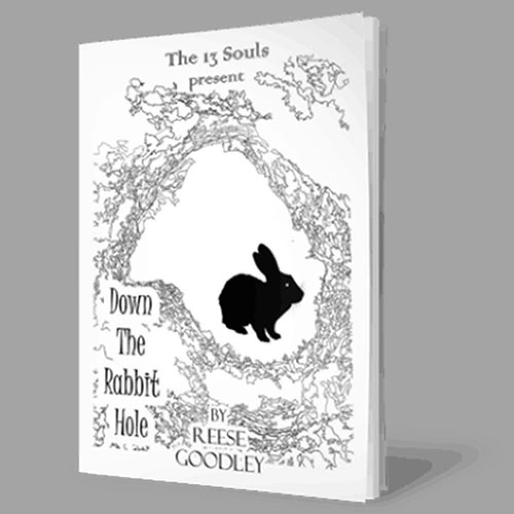 Down The Rabbit Hole by Reese Goodley - Book