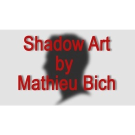 Shadow Art (Bat Man) by Mathieu Bich