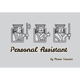 Personal Assistant by Mario Tarasinivideo DOWNLOAD