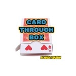 Card Through Box by Mario Tarasini video DOWNLOAD
