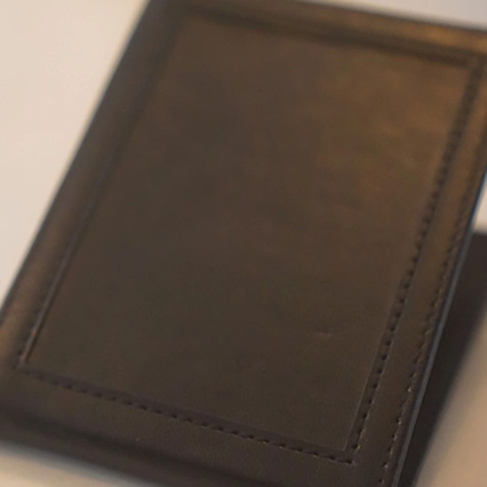 Chameleon Skin Wallet by Jim Steinmeyer