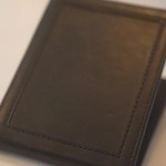 Chameleon Skin Wallet by Jim Steinmeyer