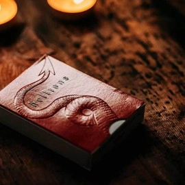 Spielkarten Hellions V4 Playing Cards by Ellusionist