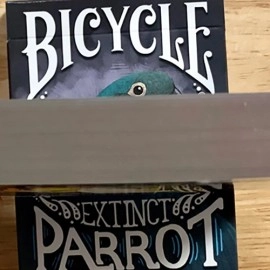 Spielkarten Gilded Bicycle Parrot Extinct Playing Cards