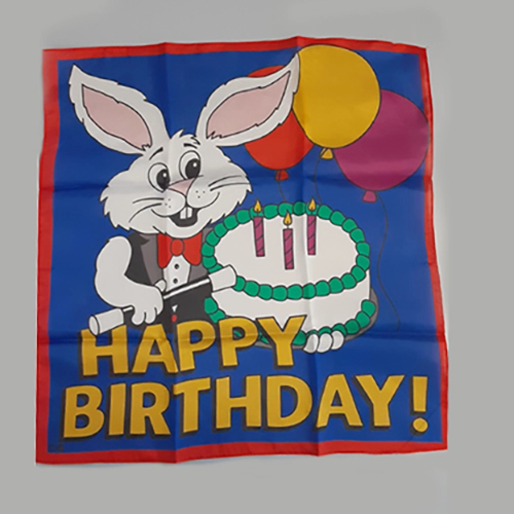 Happy Birthday Silk (18 inch) by Ginn and Goshman