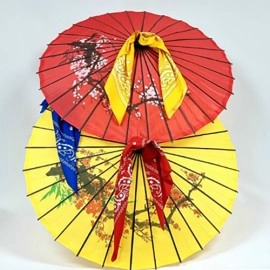 Umbrella From Bandana Set (random color for umbrella) by JL Magic