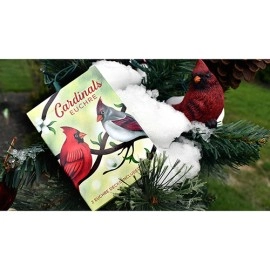 Spielkarten Cardinals Euchre Playing Cards by Midnight Cards
