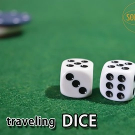 Traveling Dice WHITE by Sorcier Magic