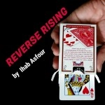 Mario Tarasini presents: Reverse Rising by Ihab Asfour - video DOWNLOAD