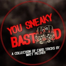 YOU SNEAKY BAST**D By Matt Pilcher eBook DOWNLOAD