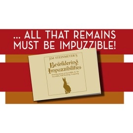 Bewildering Impuzzibilities by Jim Steinmeyer - Book