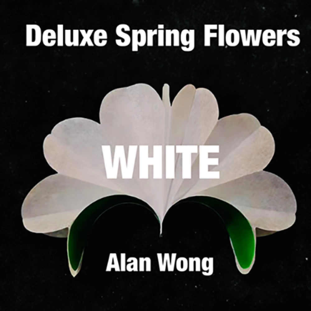 Deluxe Spring Flowers WHITE by Alan Wong