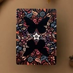 Butterfly Seasons Marked Playing Cards (Autumn) by Ondrej Psenicka
