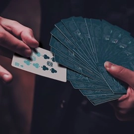 Spielkarten Owl (Blue) Playing Cards