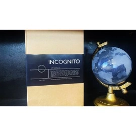 Incognito (Sketch Pad) by Michael Dawson