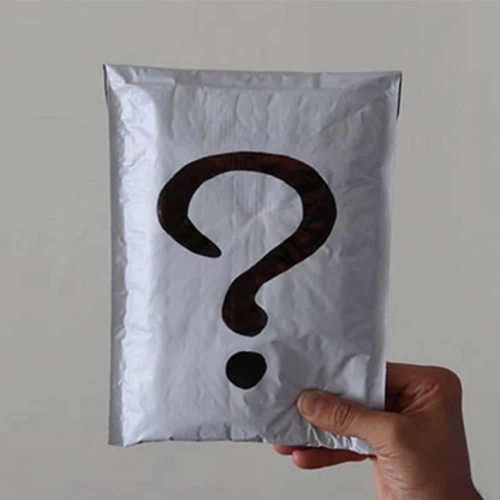 Envelope Opener (Gimmicks and Online Instructions) by Blake Vogt