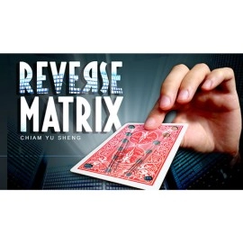 REVERSE MATRIX (Gimmicks and Online Instructions) by Chiam Yu Sheng