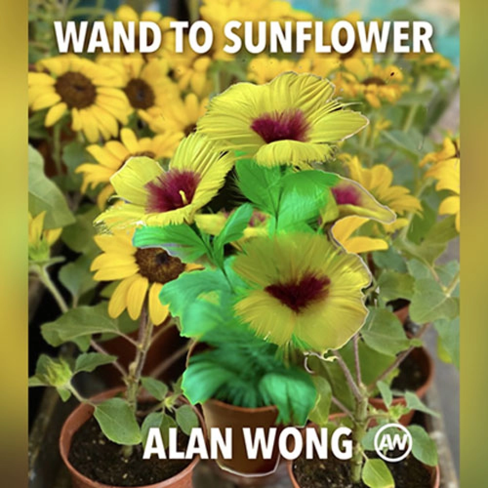 WAND TO SUNFLOWER LARGE by Alan Wong