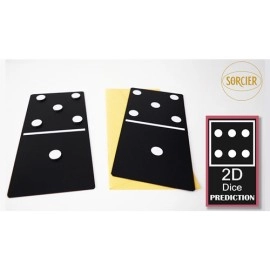 2D Dice Prediction by Sorcier Magic