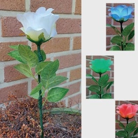 Remote Light Rose Multi-color (Charger Included) by JL Magic