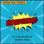 WONDERBAG BATMAN (Gimmicks and Online Instructions) by Gustavo Raley